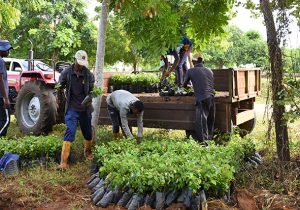 Southern Campus spearheads in reforestation 4