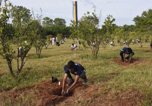 Tree Planting Ceremony - Southern Campus - General Sir John Kotelawala Defence University - KDU 5