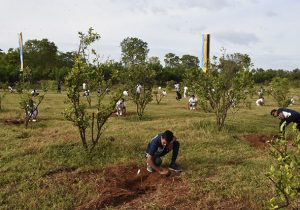 Tree Planting Ceremony - Southern Campus - General Sir John Kotelawala Defence University - KDU 2